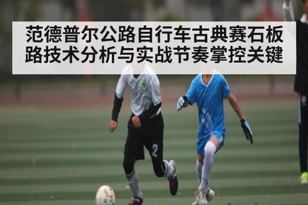 范德普尔公路自行车古典赛石板路技术分析与实战节奏掌控关键