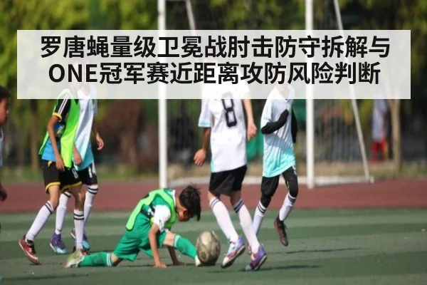 罗唐蝇量级卫冕战肘击防守拆解与ONE冠军赛近距离攻防风险判断